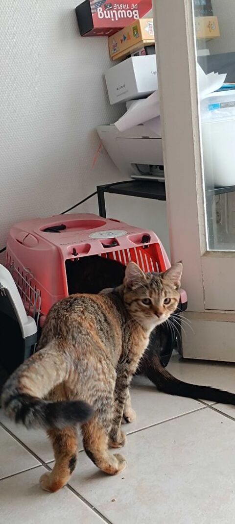 Hikari 100 44000 Nantes