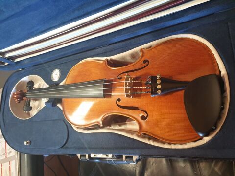 violon maestro dos 1 pi�ce Bird - eye 3900 Le Tampon (97)