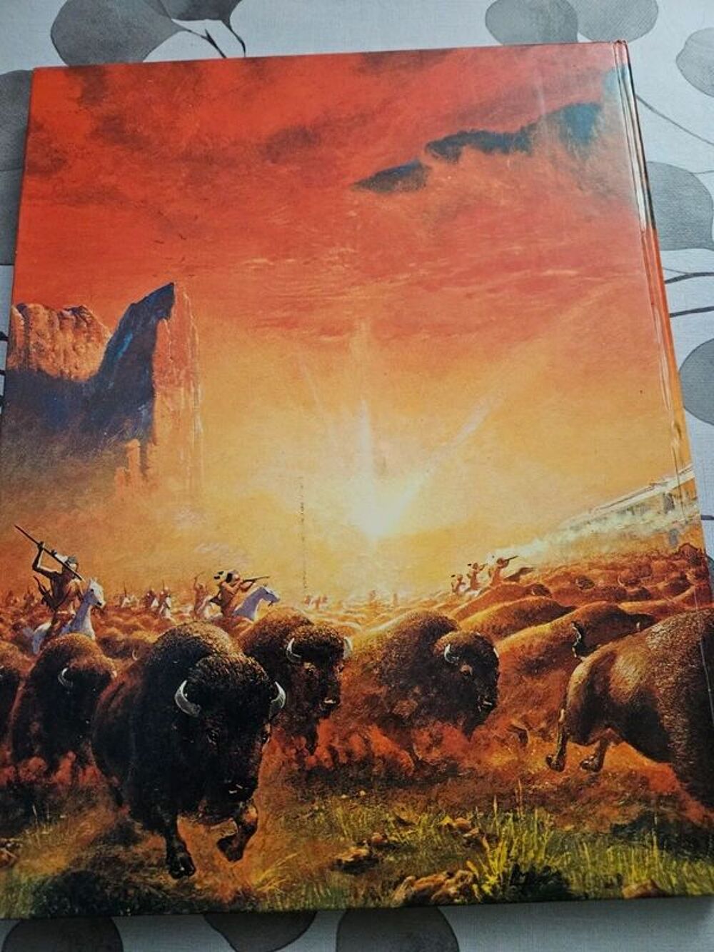fantastique &eacute;pop&eacute;e du far west rare collector vintage dargau 