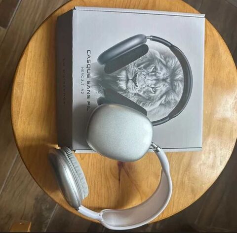 casque audio 45 Boussy-Saint-Antoine (91)