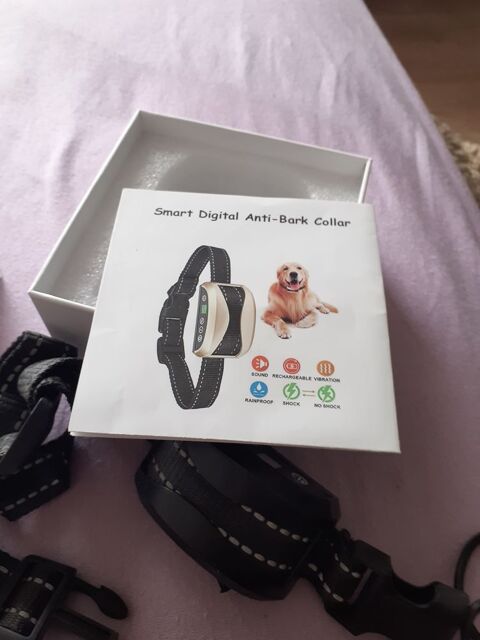 Collier de dressage  pour  chien 44740 Batz-sur-mer