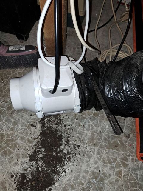 Chambre de pousse Ch�teaurenard (13)