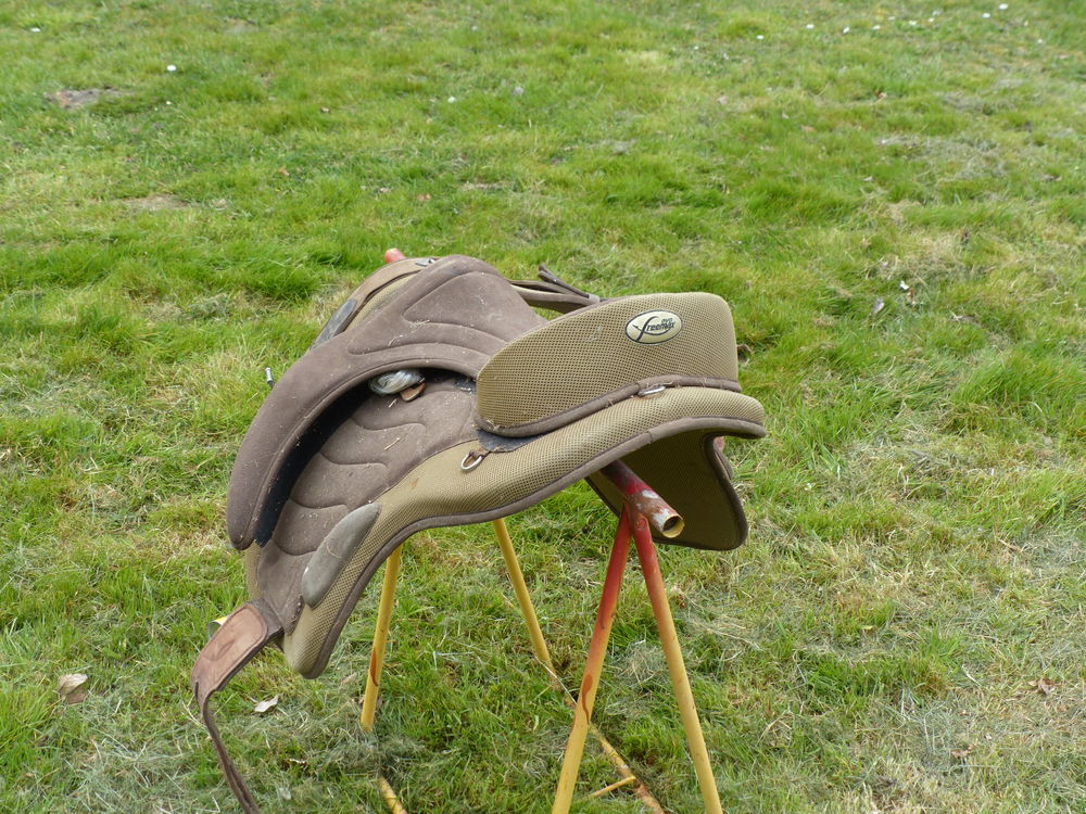 selle cheval + tapis + saccoches cavali&egrave;res Sports