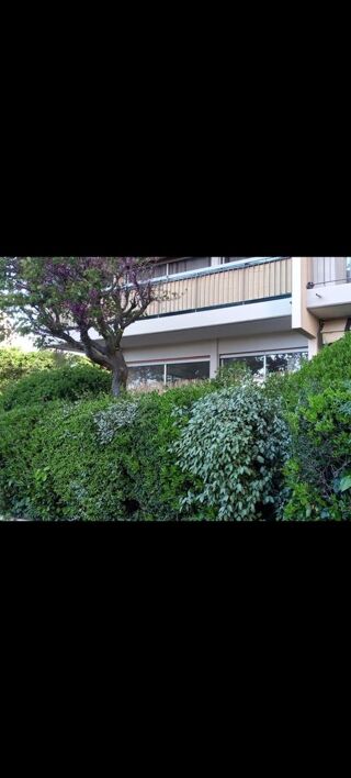  Appartement � louer 1 pi�ce 36 m� Mandelieu-la-napoule