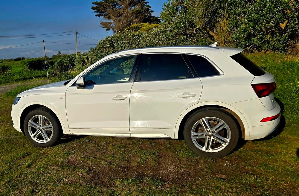 Q5 2.0 TDI 150 2018 occasion 29217 