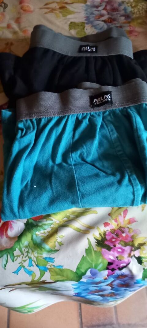 Boxers 8 Ardon (45)