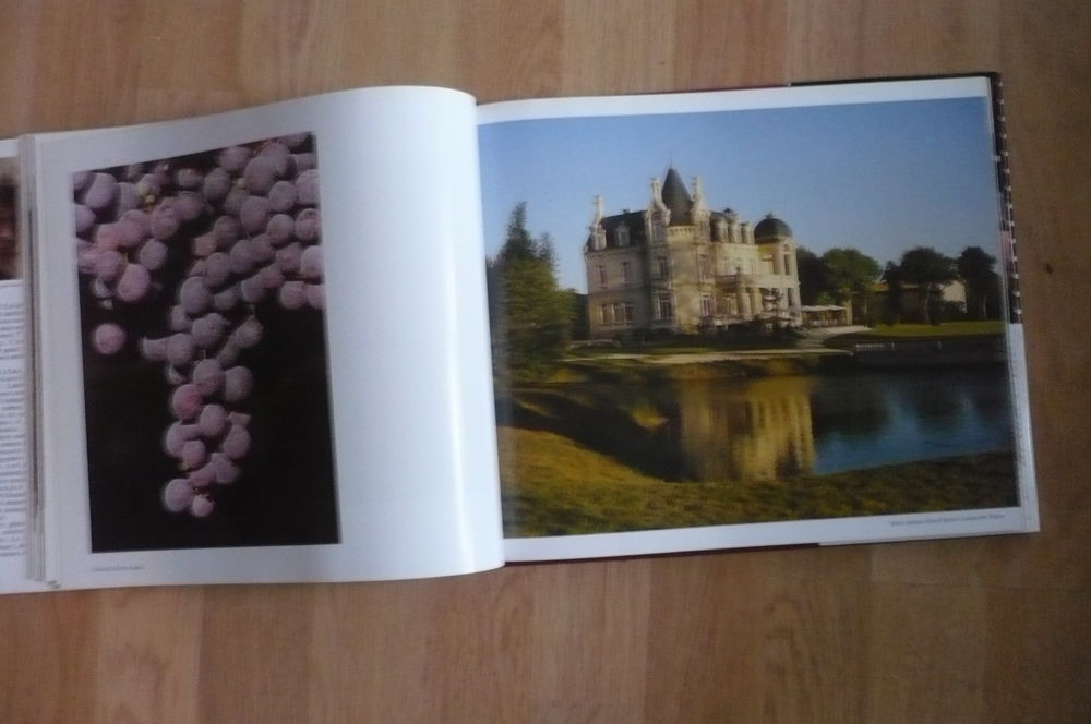 SAINT-&Eacute;MILION, AU-DEL&Agrave; D'UNE APPELLATION de Alain DENIS 2001 Livres et BD