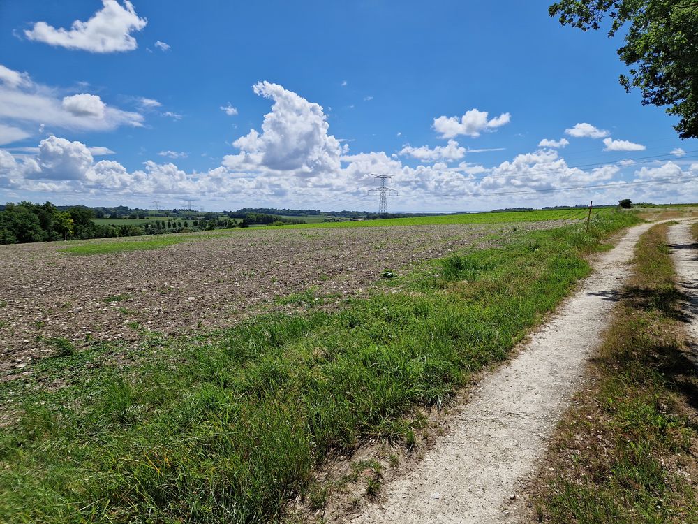 Vente Terrain 2 parcelles 1670m2 chacune CU 22500€ SEMOUSSAC 17150 Semoussac