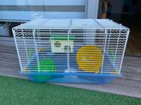   Cage hamster 
