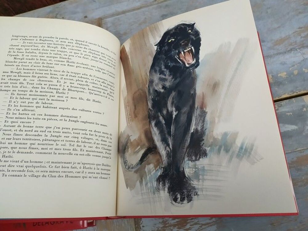 Rudyard Kipling LE LIVRE DE LA JUNGLE ill. Delagrave Livres et BD