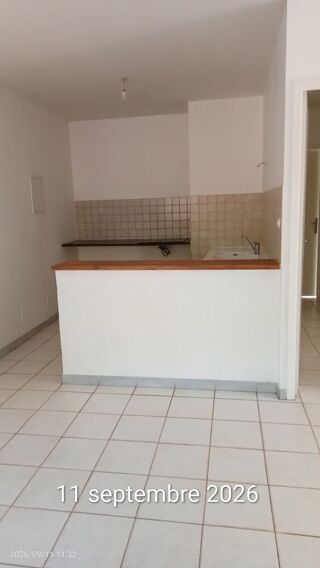 Appartement à louer 3/4 pièces 55 m²