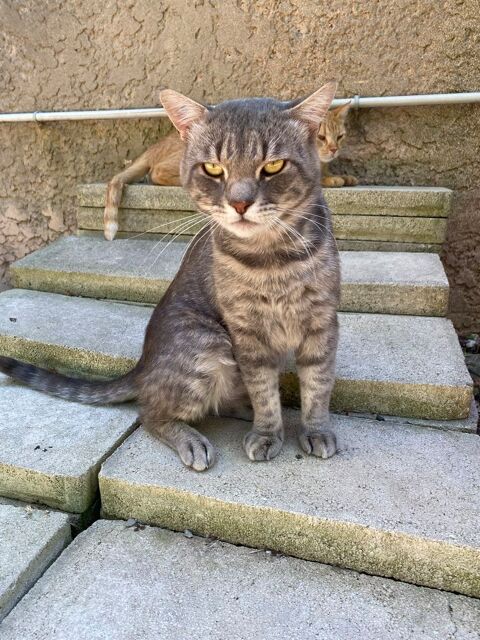 SPRITZ 200 26700 Pierrelatte