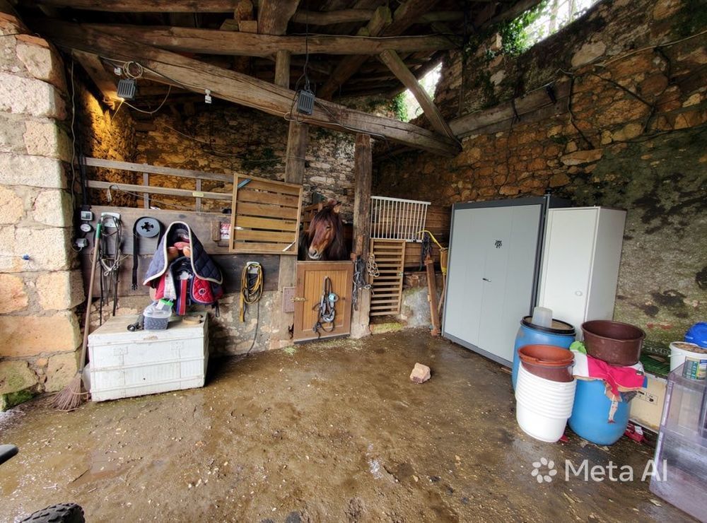 Vente Ferme Domaine de caractère avec 2 habitations et 9000 m² de terrain Fauch