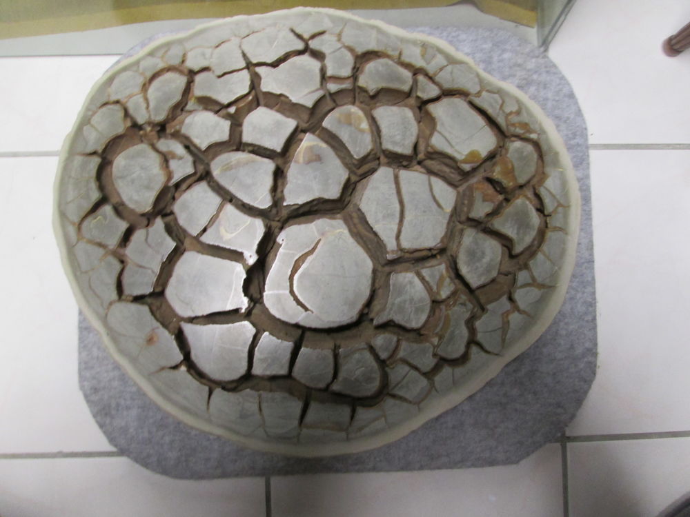 Blocs de septaria 