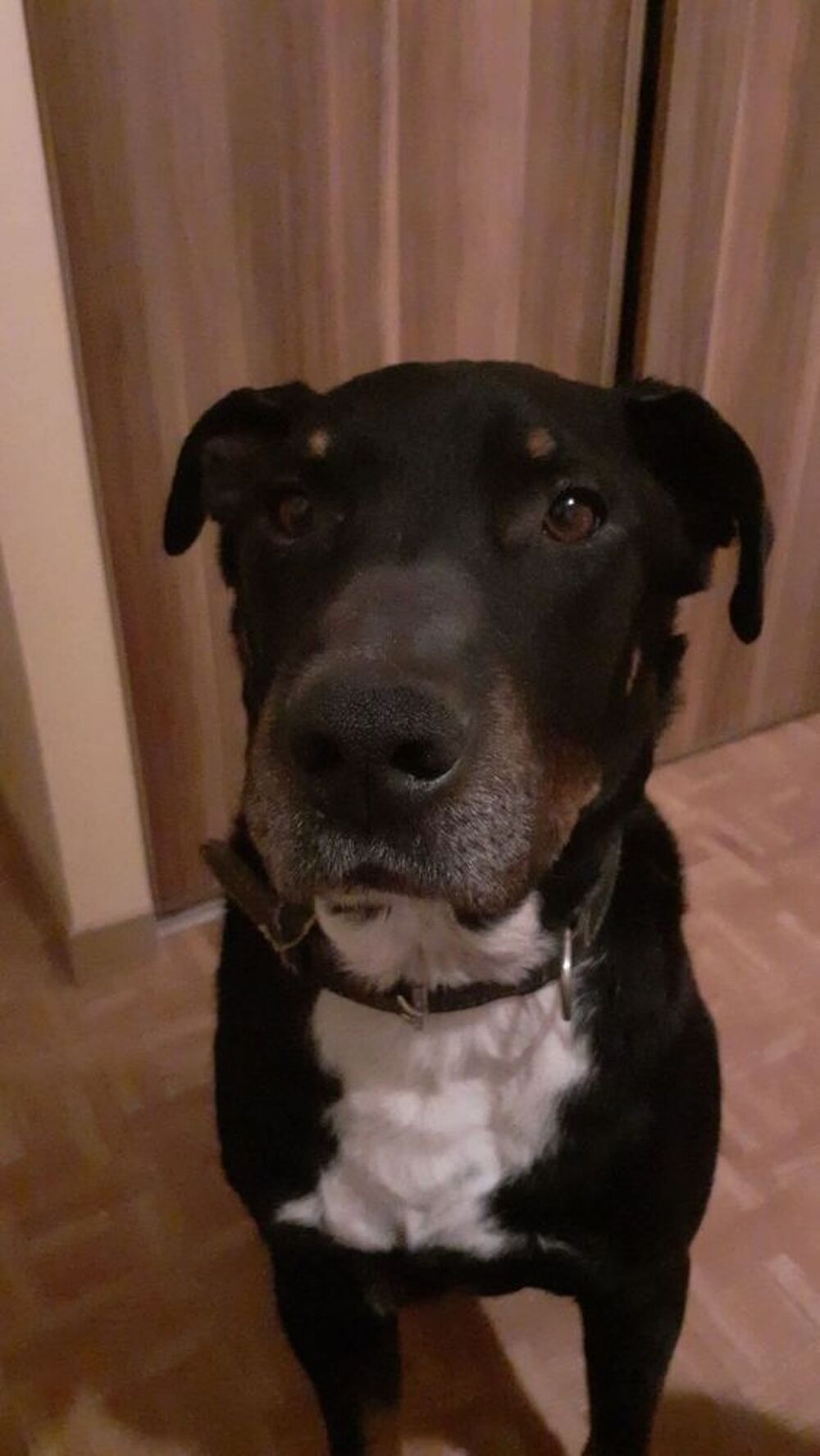   SAM 