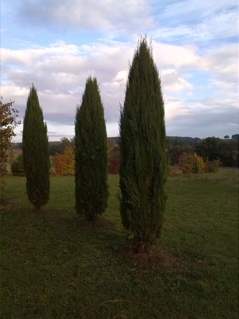 Conseils, orientation compliquée, évolution difficile ? 0 32190 Vic-fezensac