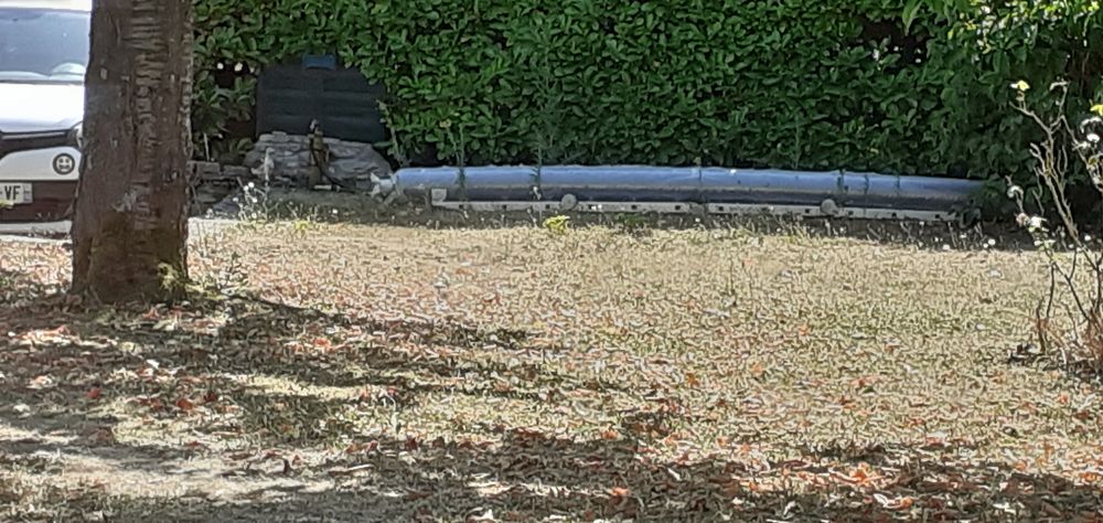 gazon synthe 4 x 5 m neuf Bricolage