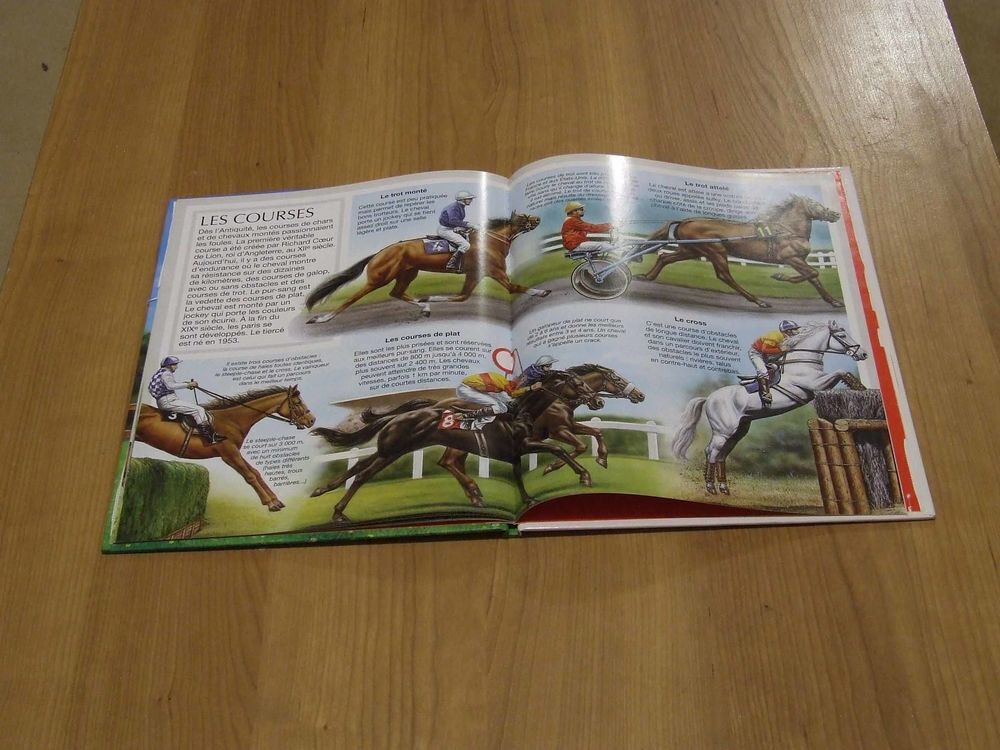 Livre, Les chevaux, de Emilie Beaumont, TBE Livres et BD