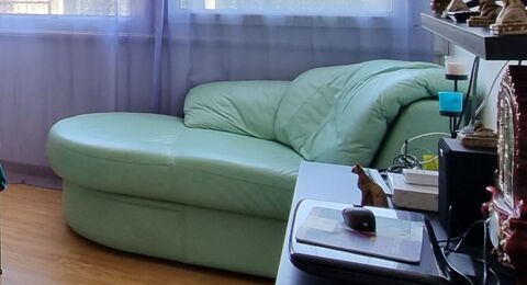 Mridienne  en cuir vert 50 Champagn (72)