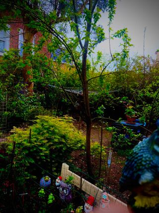  Maison � vendre 6 pi�ces 160 m�