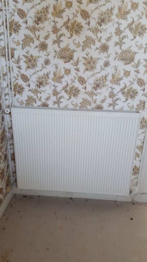 : Lot de 4 radiateurs gaz. Neufs poss jamais utiliss vendus avec accroches. Prix galement  l'unit 120 Mainxe (16)