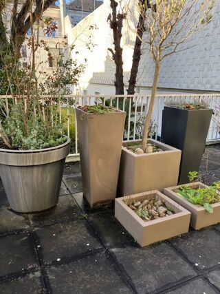  Appartement � louer 4 pi�ces 84 m�