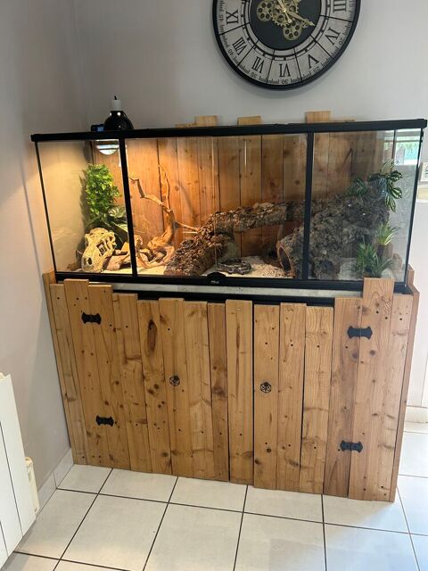 Terrarium complet avec meuble 550 85130 Les landes-genusson