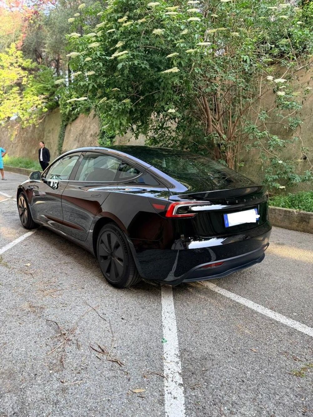 Model 3 MODEL 3 Standard Range RWD Premium 2023 occasion 88190 Golbey