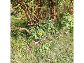  Terrain � vendre 986 m�