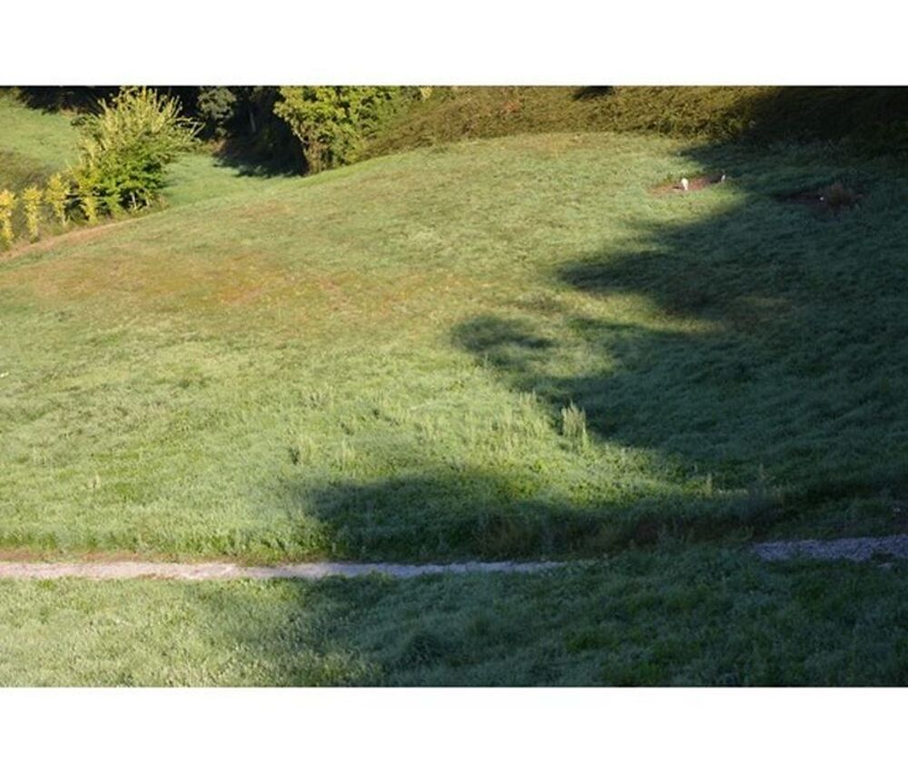 Vente Terrain Terrain - 959m ² La bastide solages