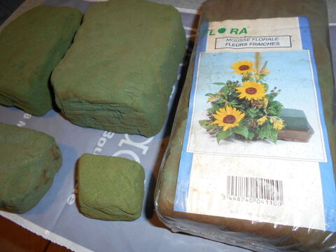 mousse florale 1 Grospierres (07)