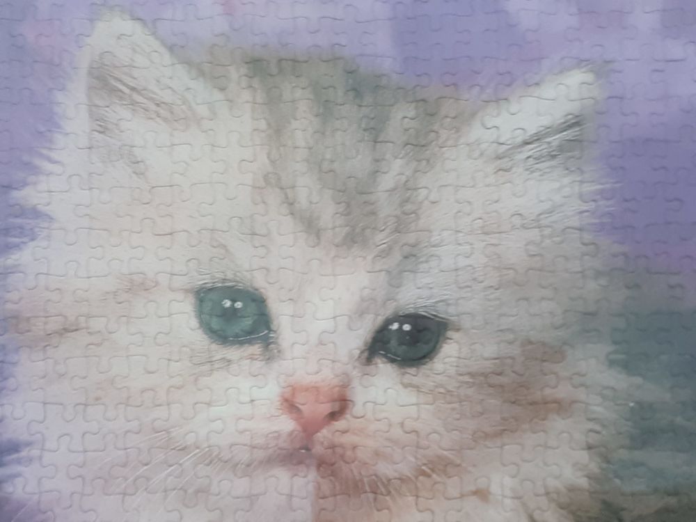 Cadre puzzle chat sous verre Décoration