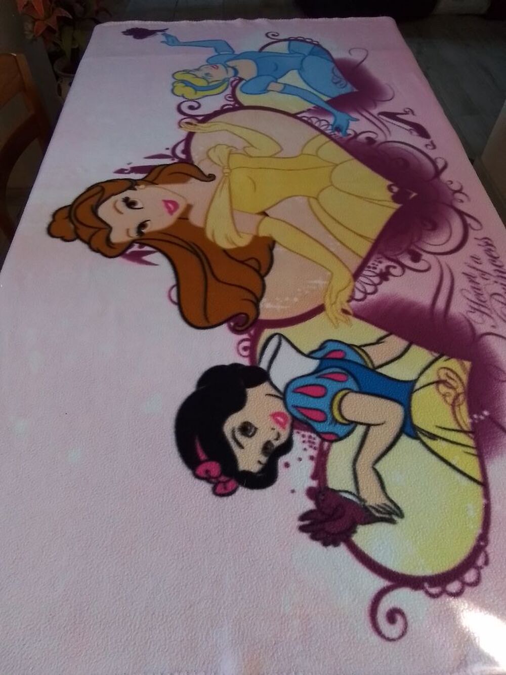 Jolie couverture Disney Princess Puériculture