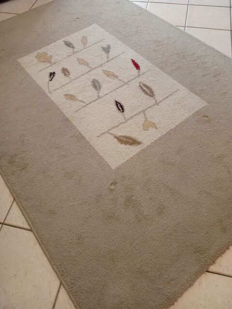 Tapis bureau 30 Colombelles (14)