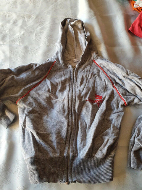 Gilet  capuche zipp 
4 ans 
2 Aubvillers (80)