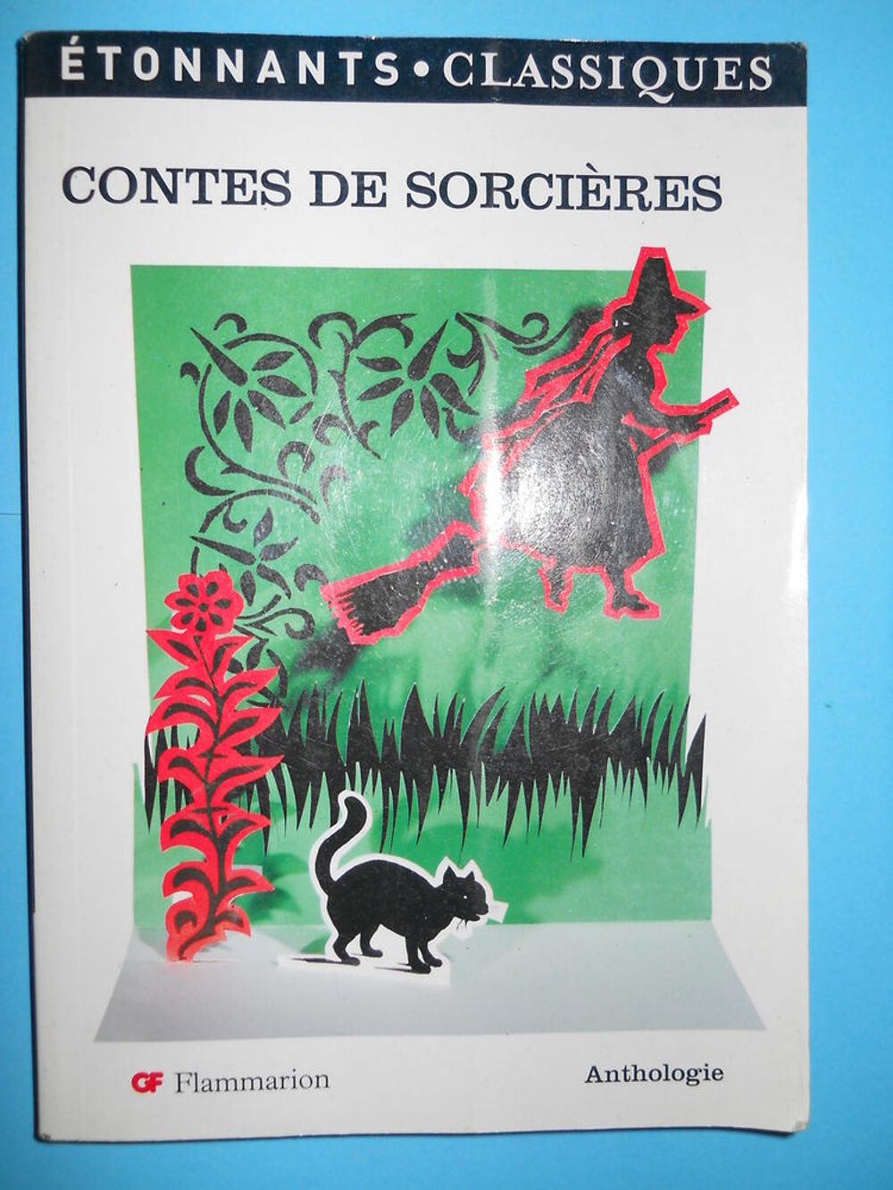 CONTES DE SORCIERES - ETONNANTS CLASSIQUES - FLAMMARION Livres et BD