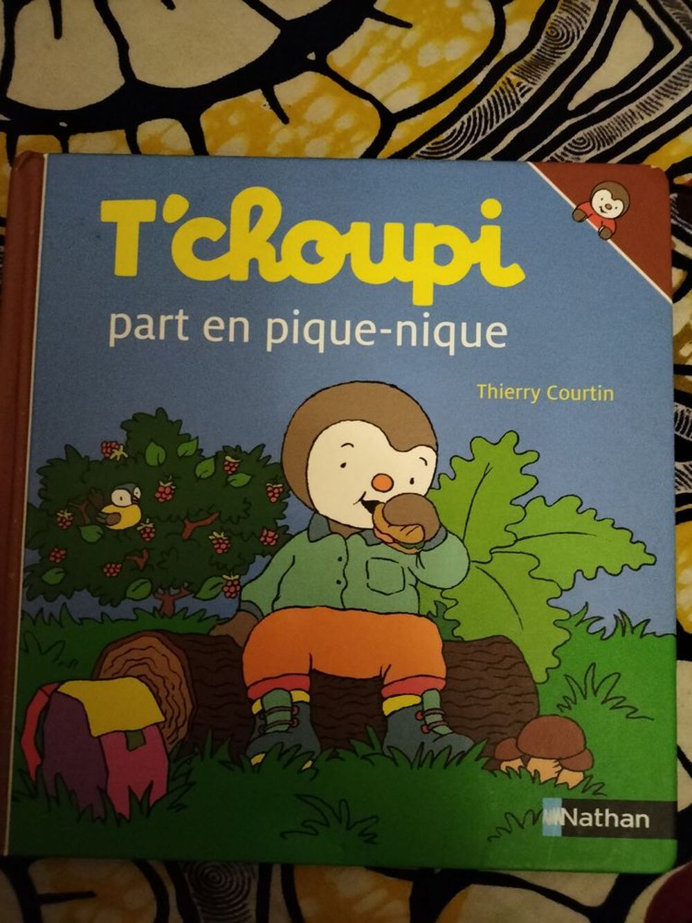 T'choupi part en pique-nique Livres et BD