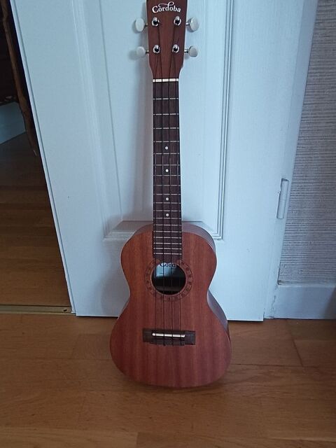 Ukul�l� 40 Croix (59)