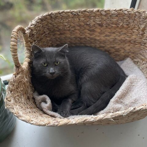 Bruce 190 59000 Lille