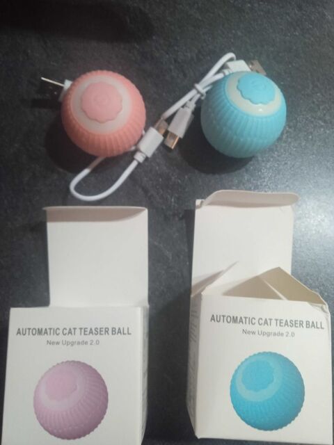 balle pour chat 10 Dinan (22)