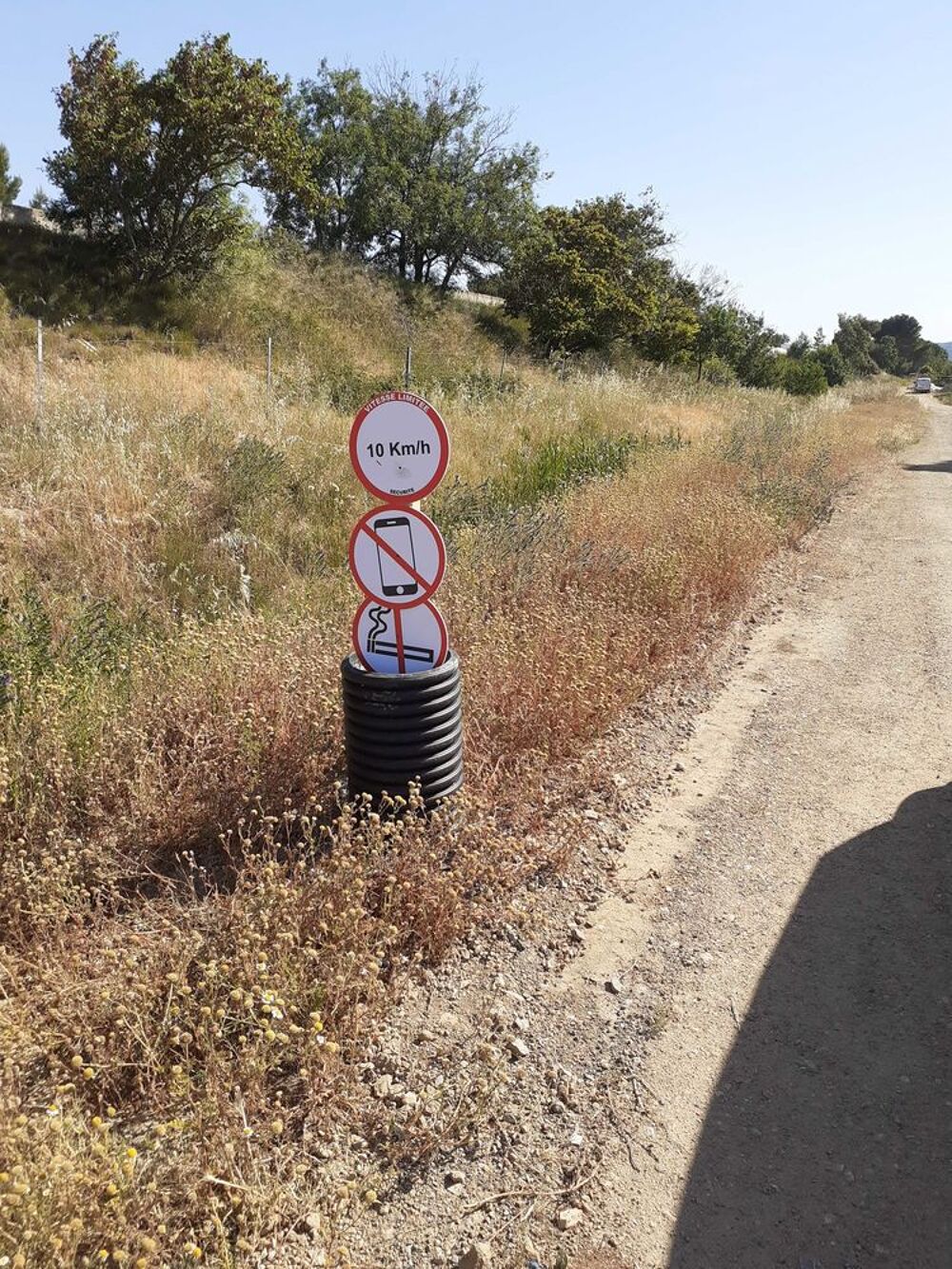 Vente Terrain terrain de loisirs route de Narbonne Plage à 10 minutes de Carrefour 2000 m arboré en bordure de route 10000 € Narbonne