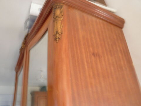 grande armoire � glaces - 50 Petite Synthe (59)