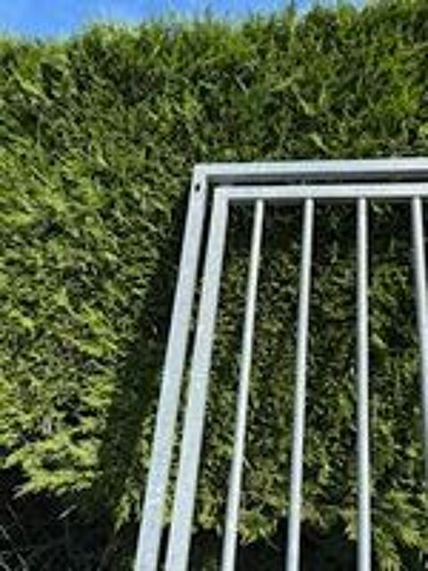   Grilles de séparation robuste 
