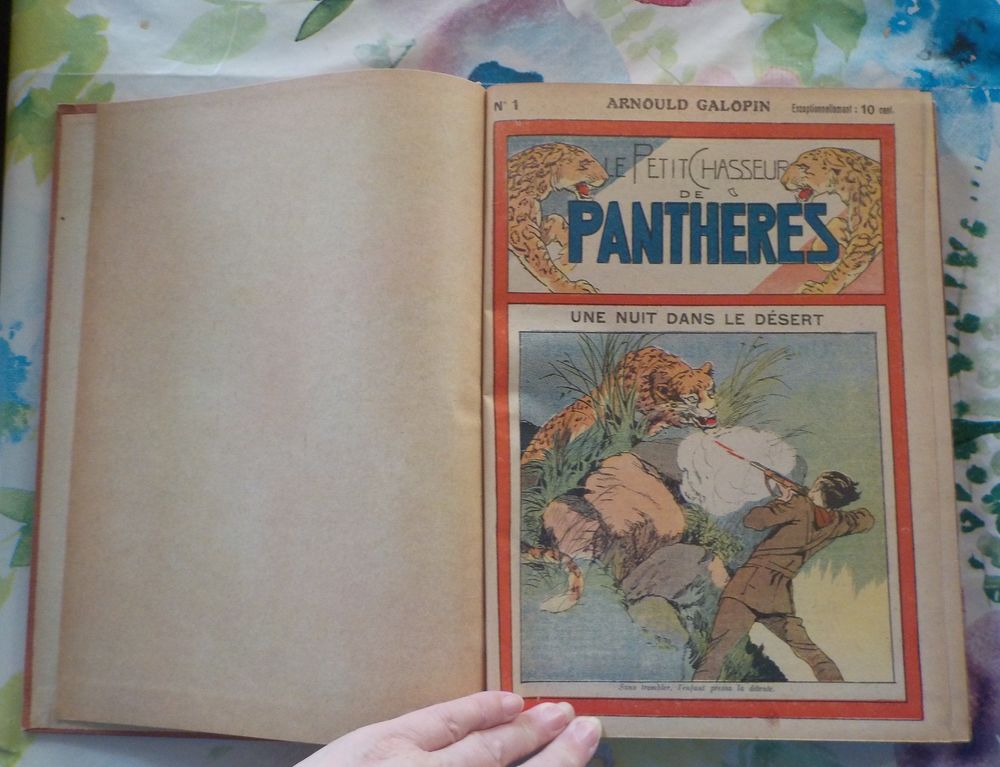 LE PETIT CHASSEUR DE PANTHERES N&deg;1 &agrave; 50 1928 ARNOULD GALOPIN Livres et BD