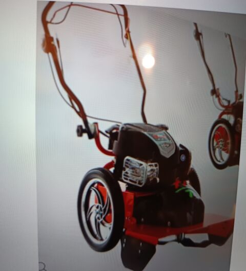 Tondeuse débroussailleuse BRIGGS & STRATTON 500 Carros (06)