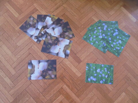 Cartes lin et coton (45) 3 Tours (37)