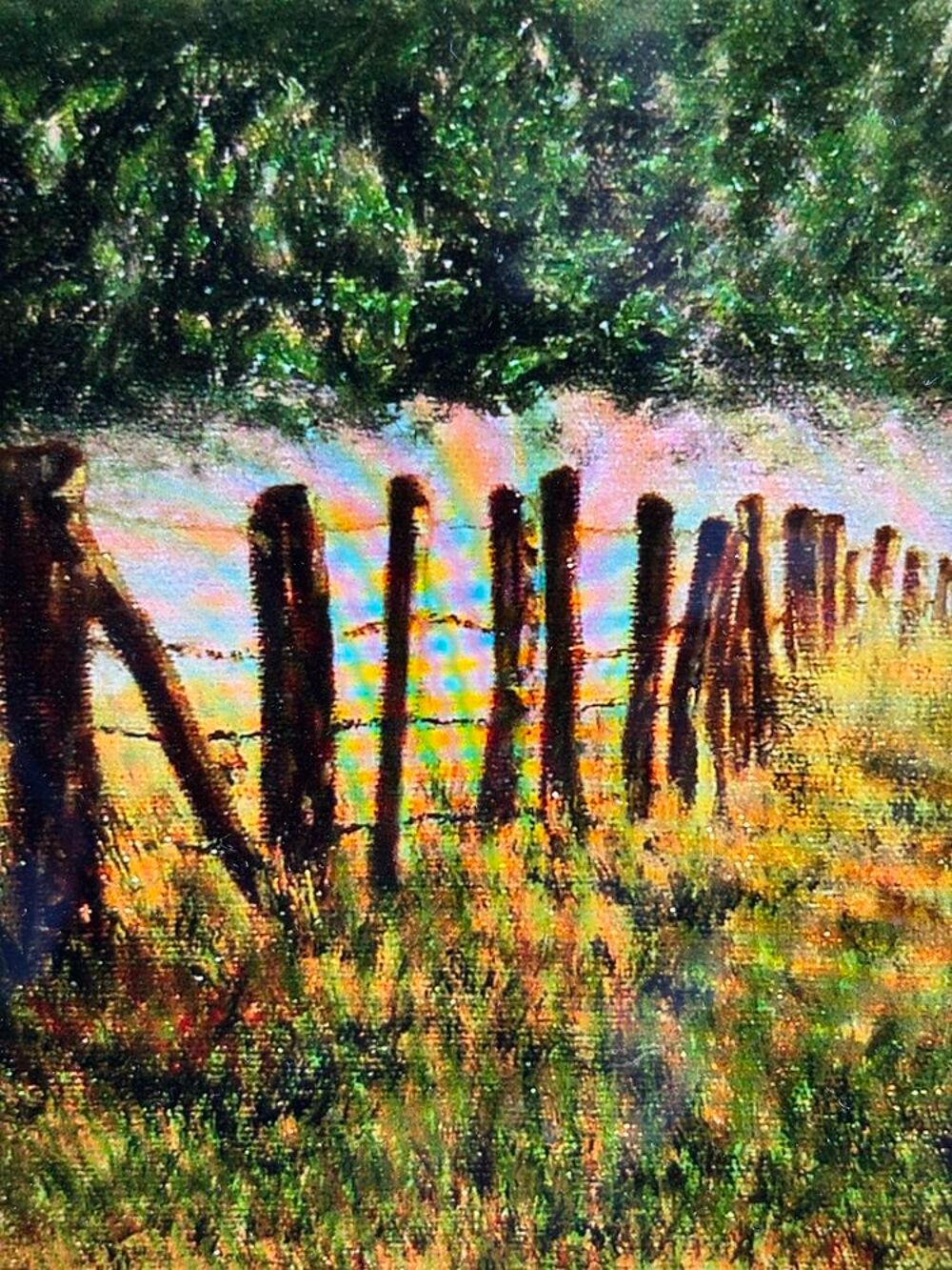 Tableau-photo "Sangliers" Décoration