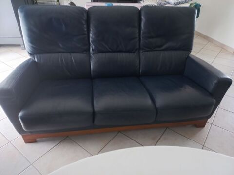 Salon  cuir  monsieur meuble 345 Soubise (17)