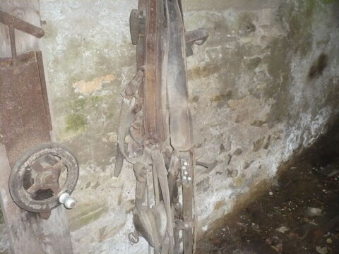 Harnais pour chevaux. 10 Foulcrey (57)