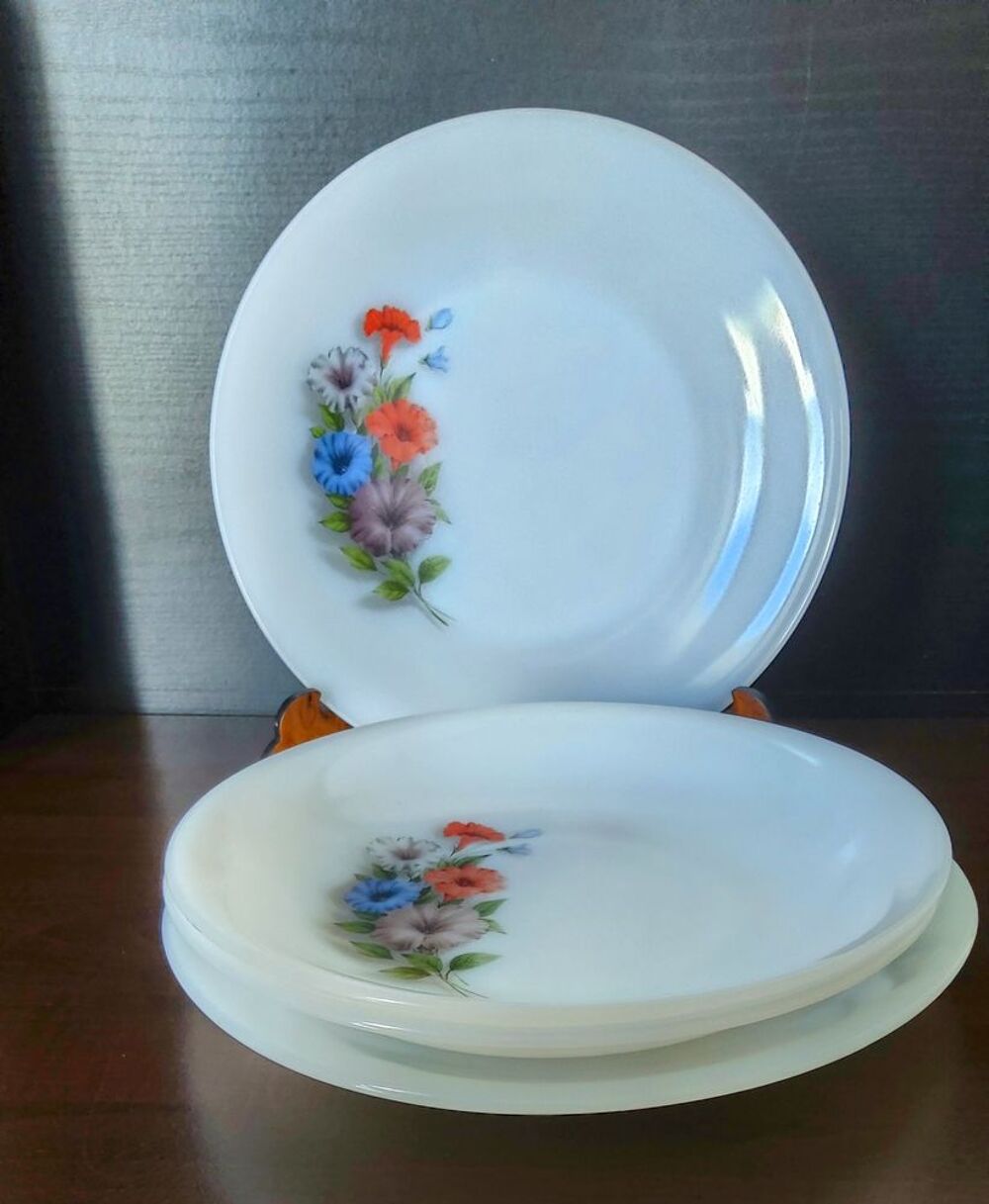 Lot 4 assiettes Arcopal Volubilis ? 2 plates + 2 creuses Cuisine